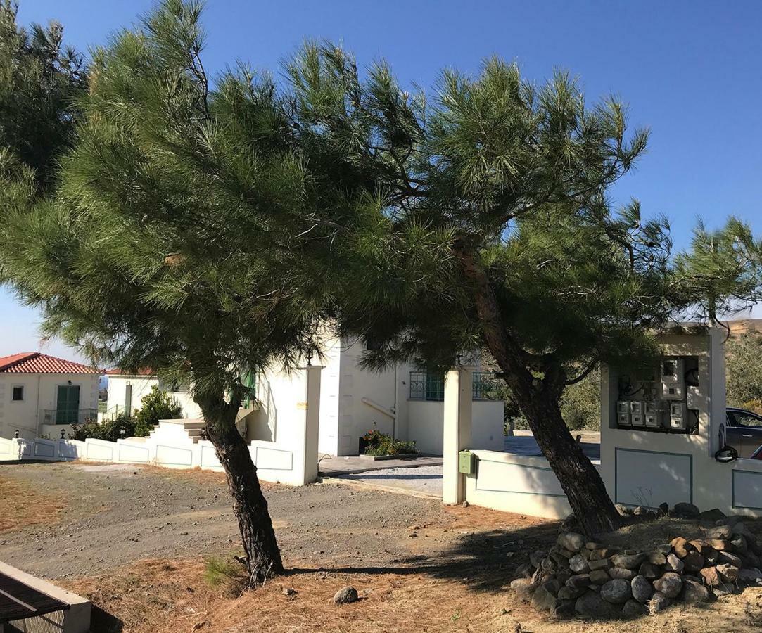 Ampeloessa Village * Kornos